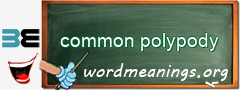 WordMeaning blackboard for common polypody